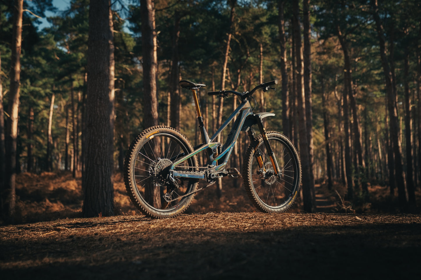 Orbea Rallon Custom "Disco Trout" Large Ex - Demo-BRINK