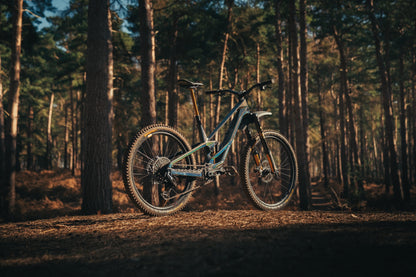 Orbea Rallon Custom "Disco Trout" Large Ex - Demo-BRINK