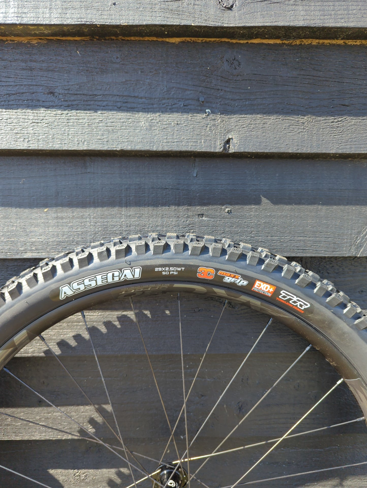 Raceface ARC30 - ( Industry9 1/1 ) (DT Swiss 370) Wheelset & Tyres-BRINK