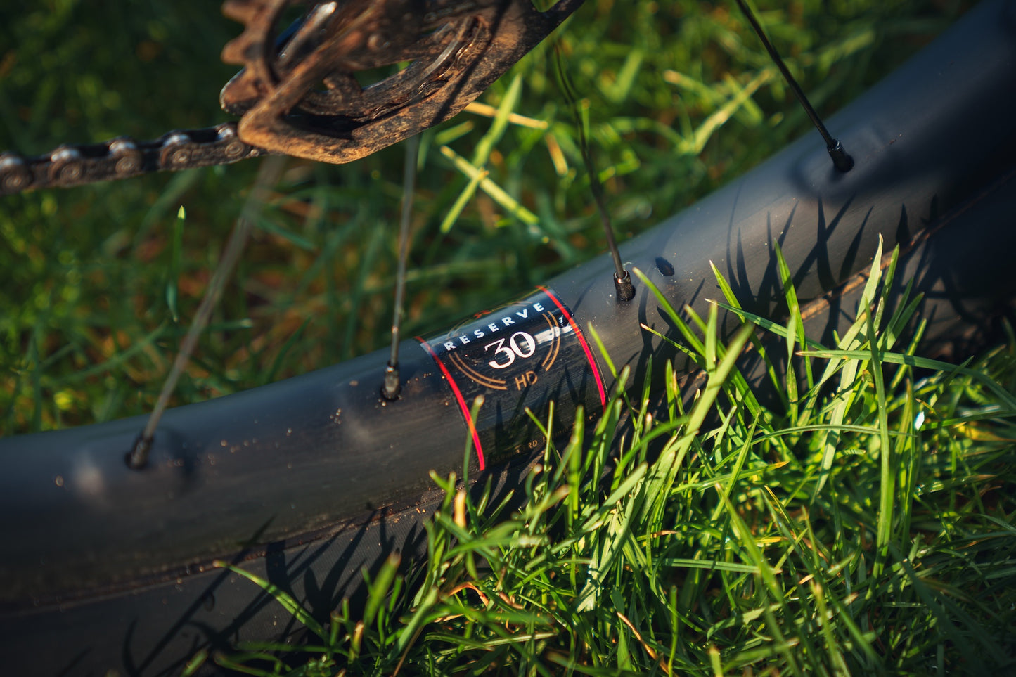 Santa Cruz Heckler SL C Custom Build