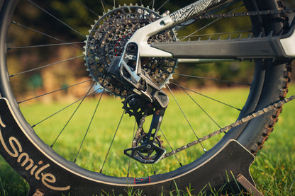 Santa Cruz Heckler SL C Custom Build