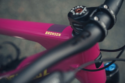 Santa Cruz Bronson CC Custom Edition-BRINK