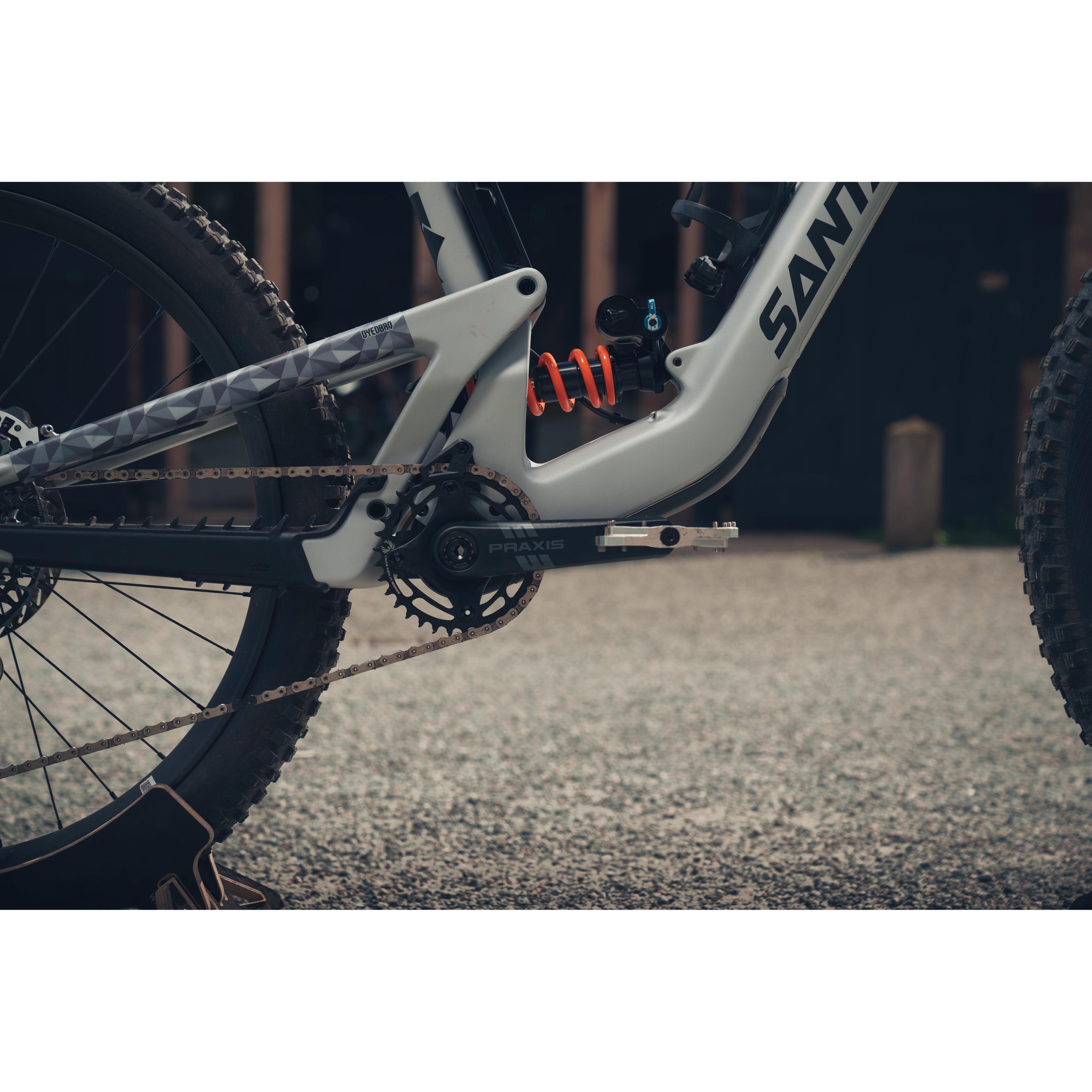 Santa Cruz Heckler SL Custom Podium-BRINK