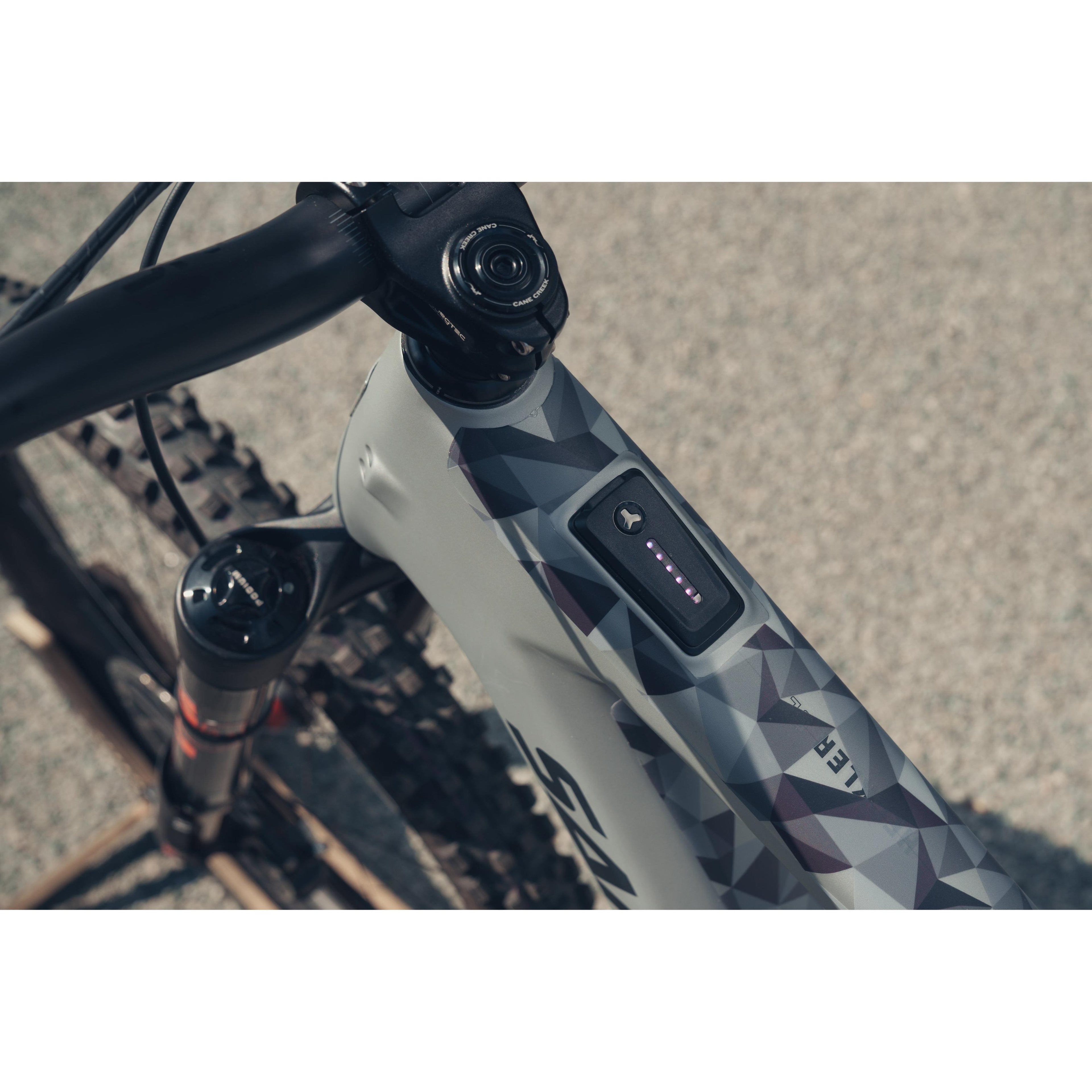 Santa Cruz Heckler SL Custom Podium-BRINK