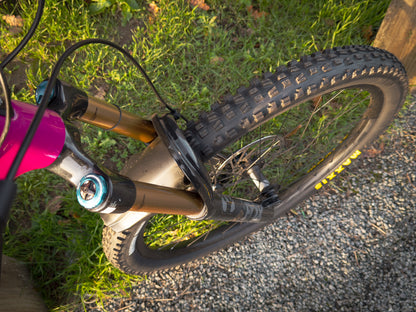 Santa Cruz Bronson CC Custom Edition