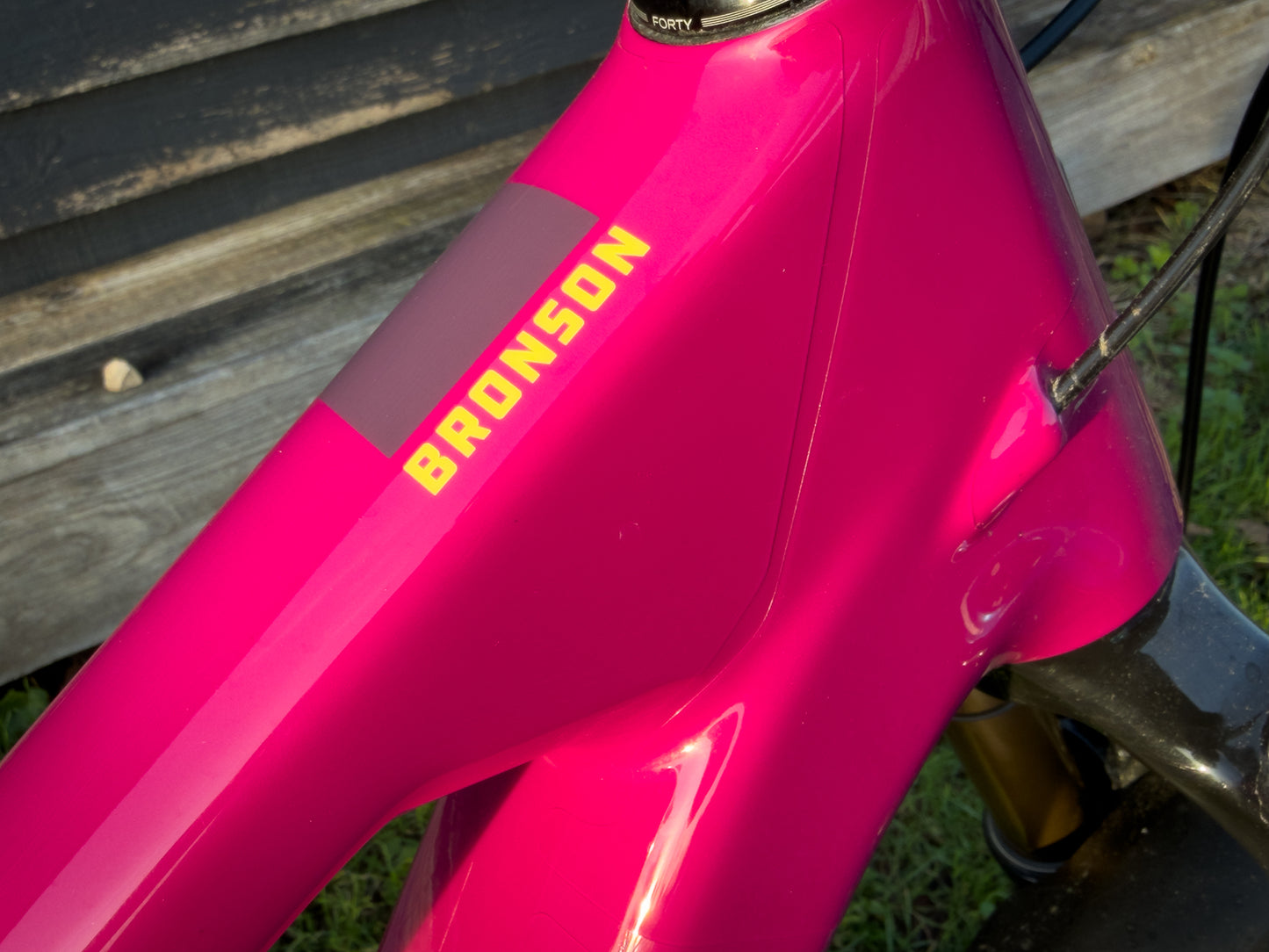 Santa Cruz Bronson CC Custom Edition