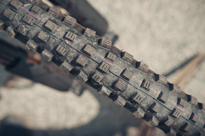 Santa Cruz Heckler SL Custom Podium