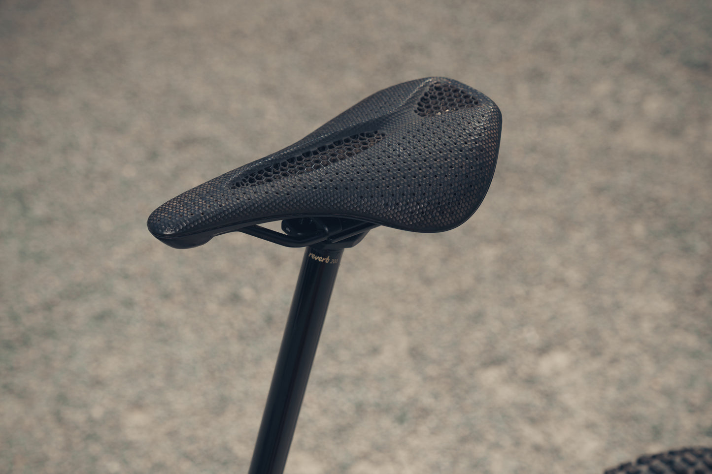 Santa Cruz Heckler SL Custom Podium