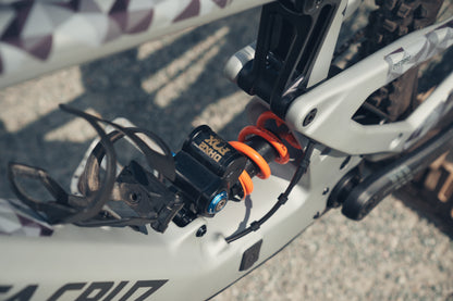 Santa Cruz Heckler SL Custom Podium
