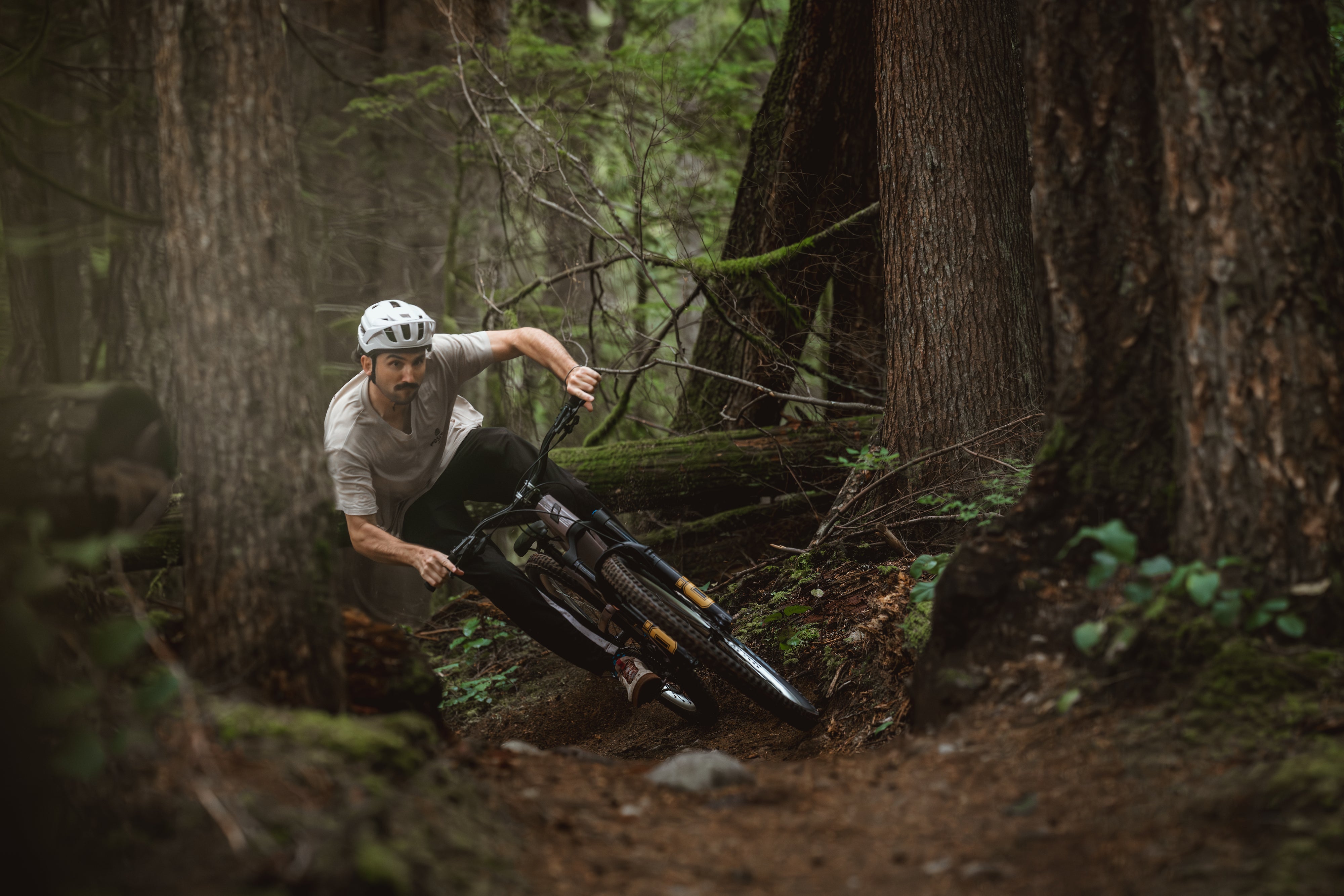 Schwalbe Romy Gravity Pro Radial Tyre