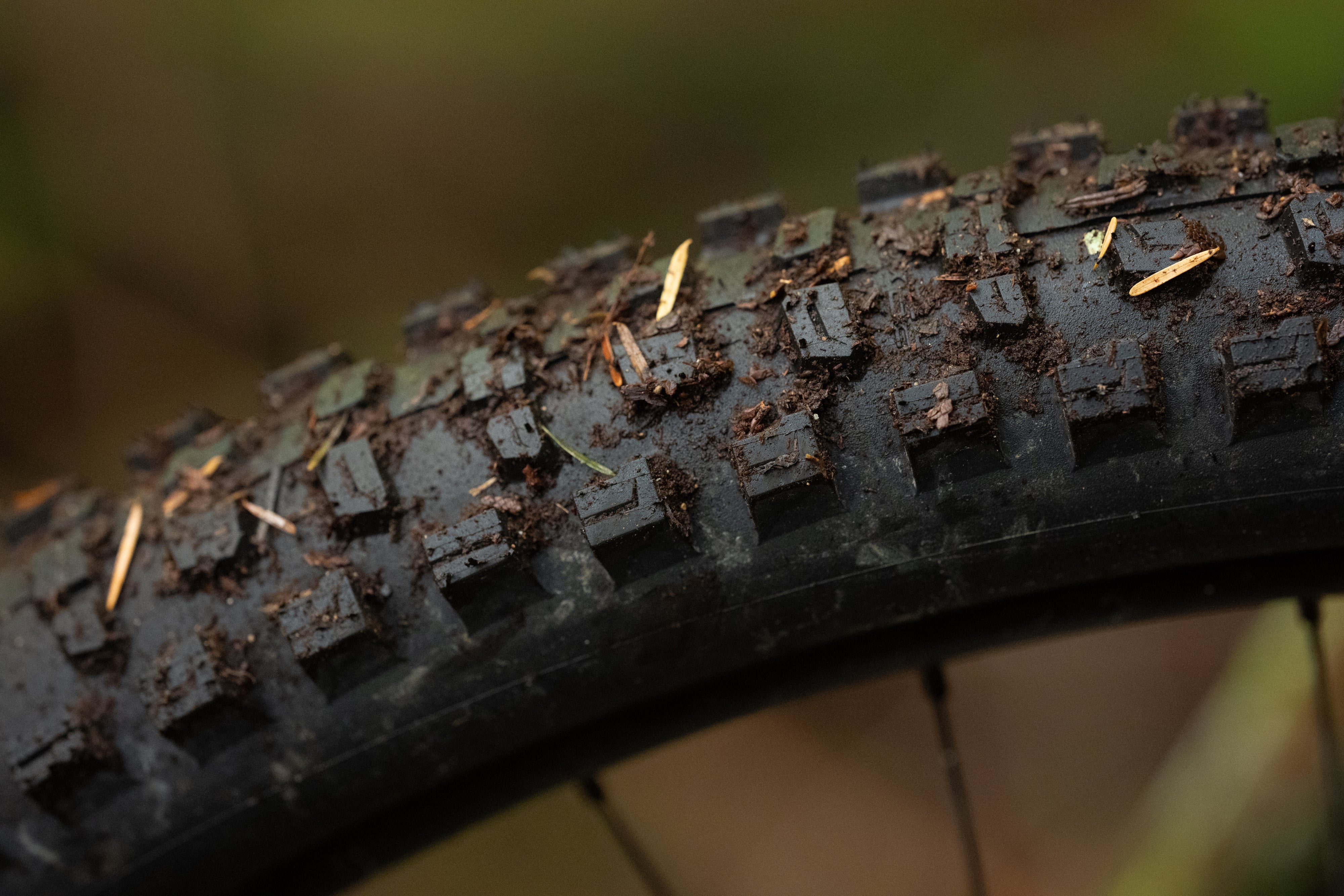 Schwalbe Romy Trail Pro Radial Tyre