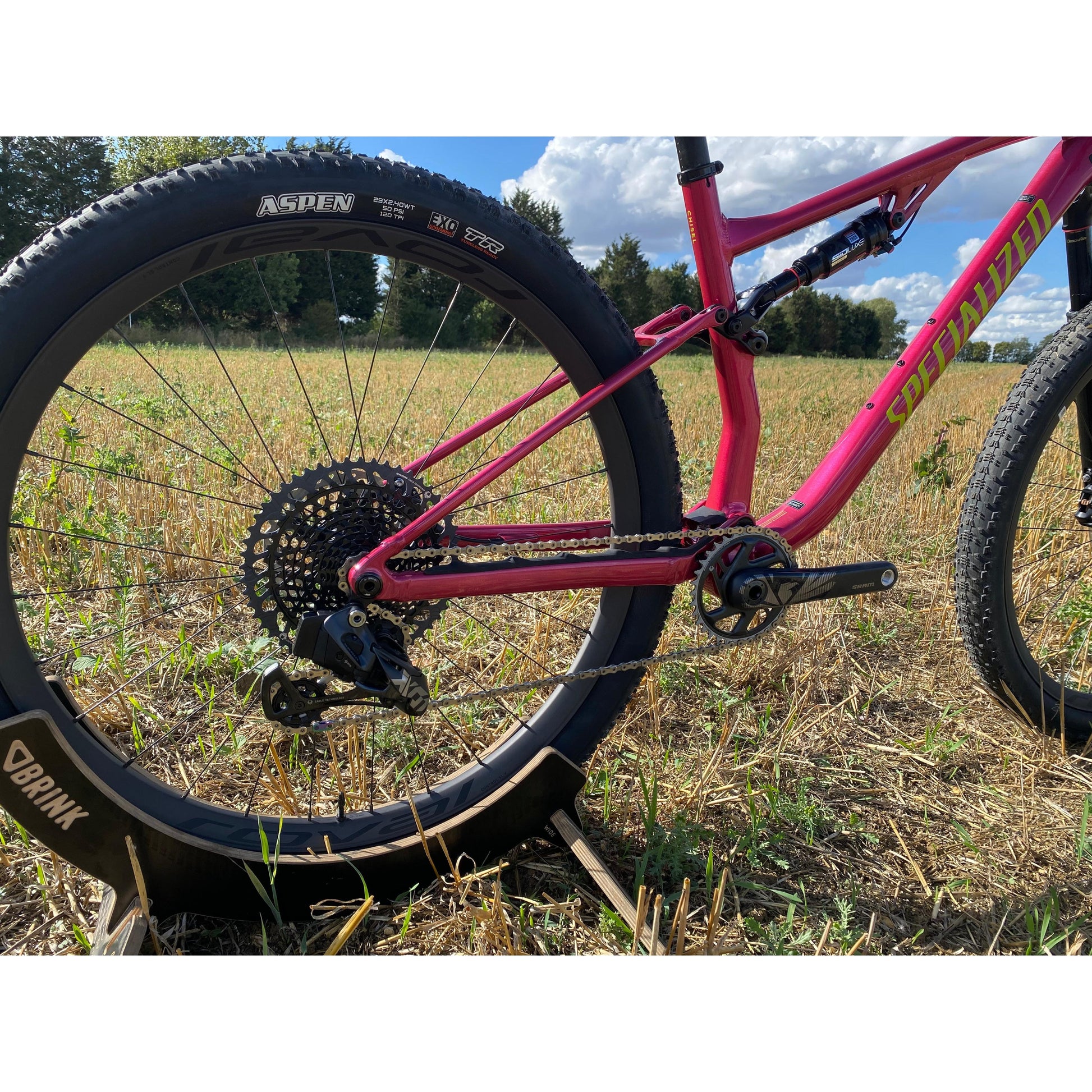 Specialized Chisel FS Custom Build-BRINK