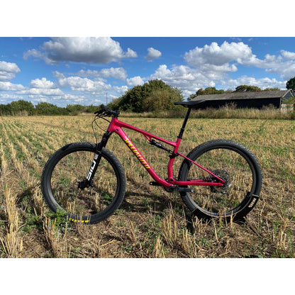 Specialized Chisel FS Custom Build-BRINK