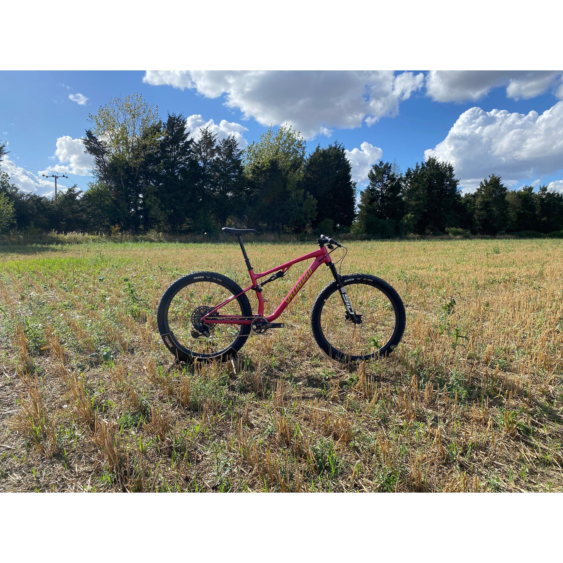 Specialized Chisel FS Custom Build-BRINK