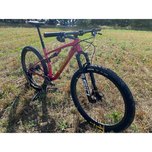 Specialized Chisel FS Custom Build-L-Gloss Rebel Pink Tint-BRINK