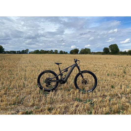 Specialized Levo 4 S-Works Custom Podium 2026-BRINK