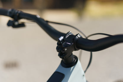 Specialized Levo Evo 4 Custom Rockshox SRAM XX Edition-BRINK