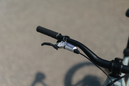 Specialized Levo Evo 4 Custom Rockshox SRAM XX Edition-BRINK