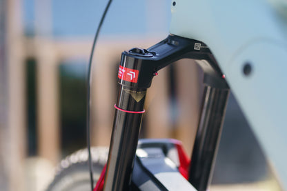 Specialized Levo Evo 4 Custom Rockshox SRAM XX Edition-BRINK