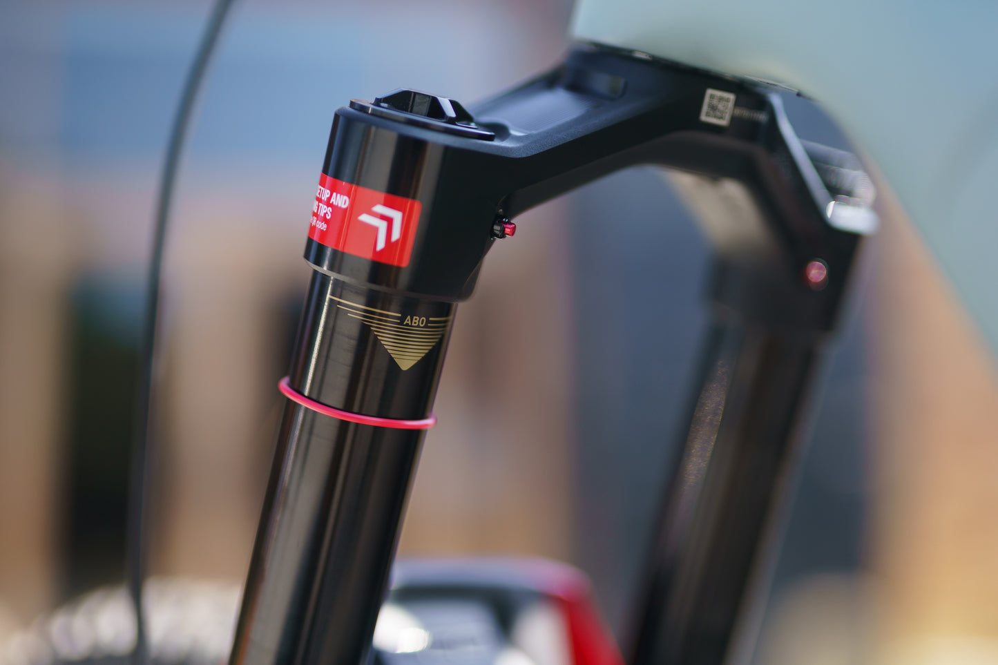 Specialized Levo Evo 4 Custom Rockshox SRAM XX Edition-BRINK