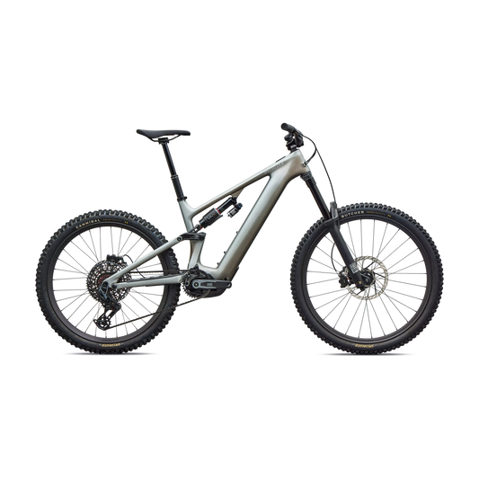 Specialized Levo Evo 4 Pro 2027-S2-Satin Shadow / Silver Dust-BRINK
