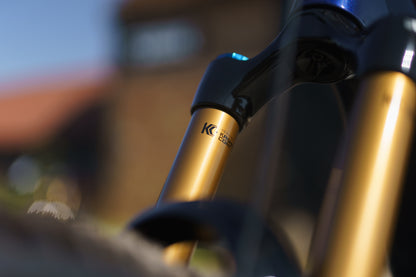 Specialized Levo Evo 4 Pro Custom Fox Edition-BRINK