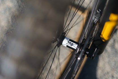Specialized Levo Evo 4 Pro Custom Ohlins Edition-BRINK