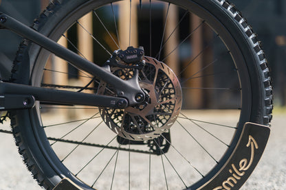 Specialized Levo Evo 4 Pro Custom Ohlins Edition-BRINK