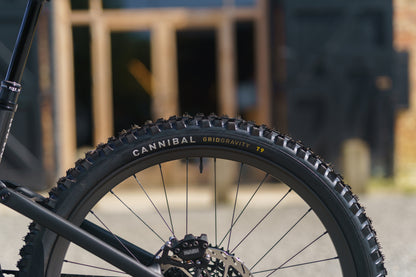 Specialized Levo Evo 4 Pro Custom Ohlins Edition-BRINK