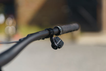 Specialized Levo Evo 4 Pro Custom Ohlins Edition-BRINK
