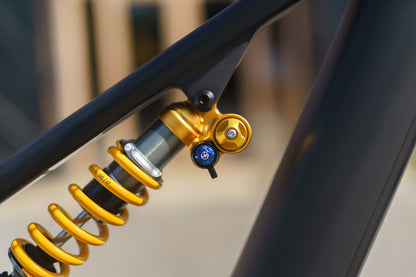 Specialized Levo Evo 4 Pro Custom Ohlins Edition-BRINK