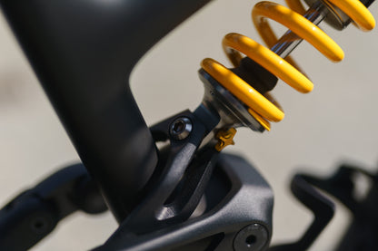 Specialized Levo Evo 4 Pro Custom Ohlins Edition-BRINK