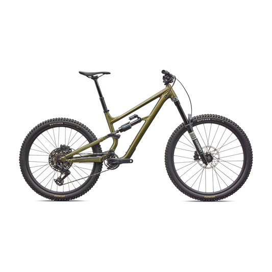 Specialized Status 170 2 2026-S1-Gloss Laurel Green Metallic / Desert Rose-BRINK