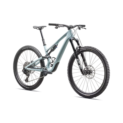 Specialized Stumpjumper 15 Comp-BRINK