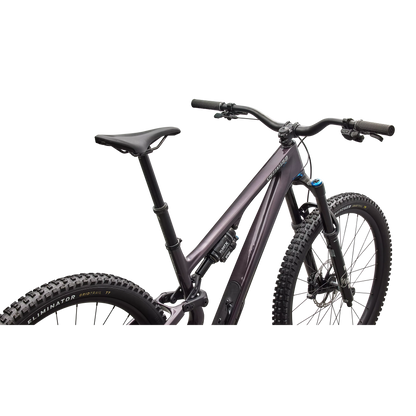 Specialized Stumpjumper 15 EVO Expert Di2 2026-BRINK