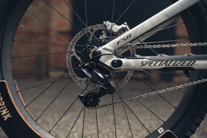 Specialized Demo S3 Custom Build