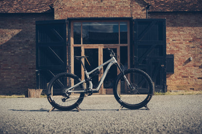Specialized Stumpjumper Evo Alloy Raw Custom
