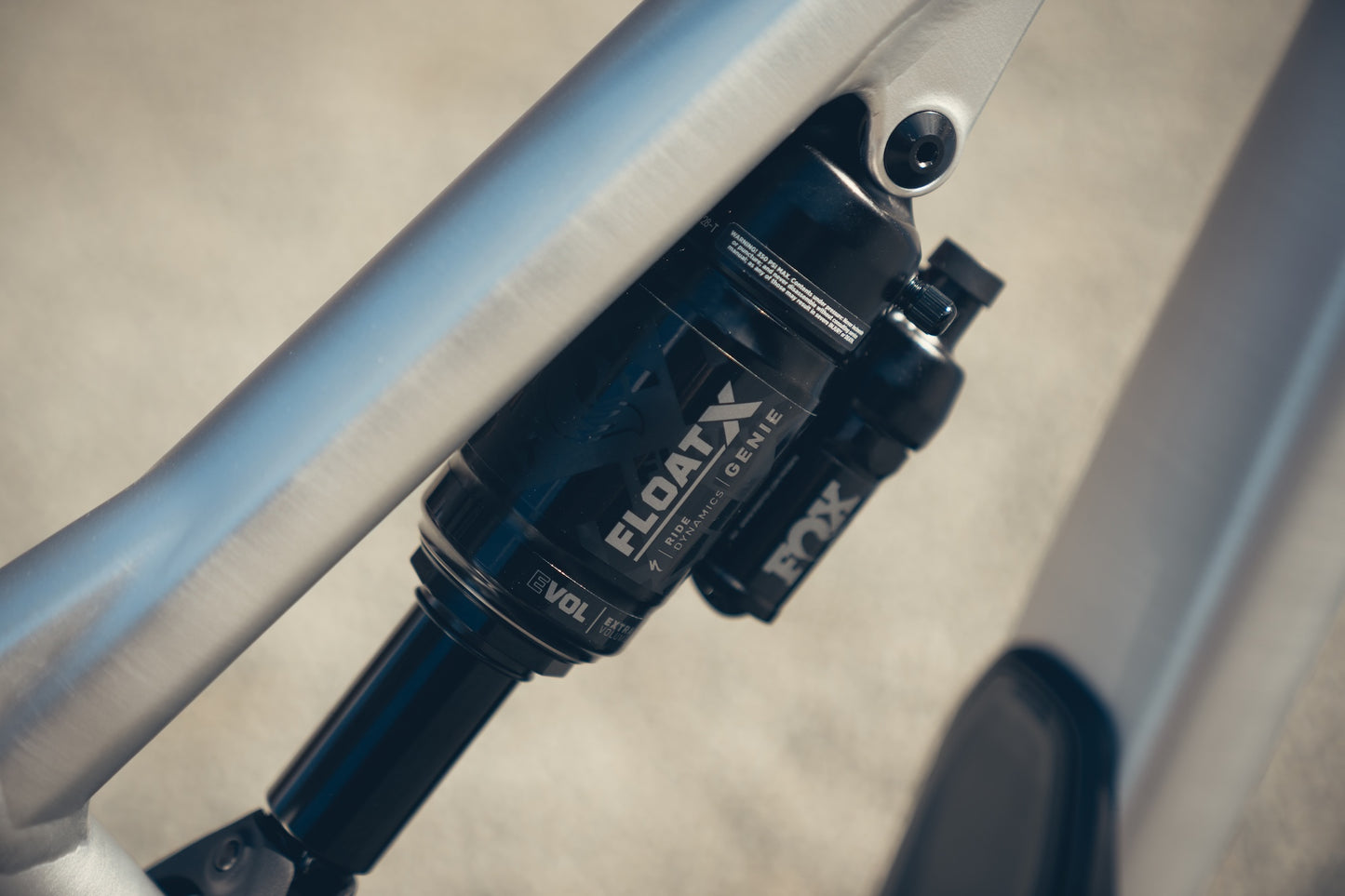 Specialized Stumpjumper Evo Alloy Raw Custom