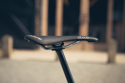 Specialized Stumpjumper Evo Alloy Raw Custom