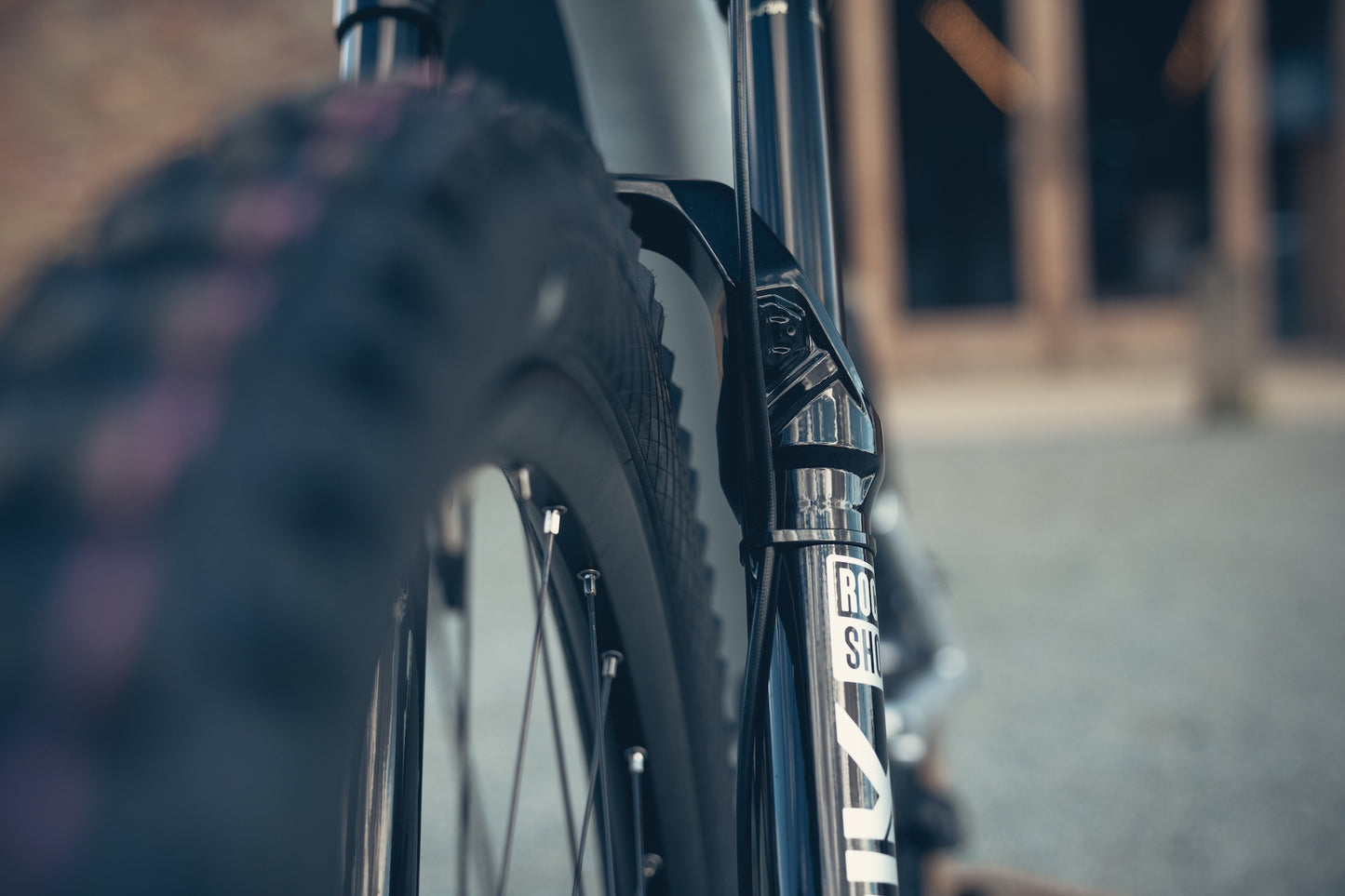 Specialized Stumpjumper Evo Alloy Raw Custom