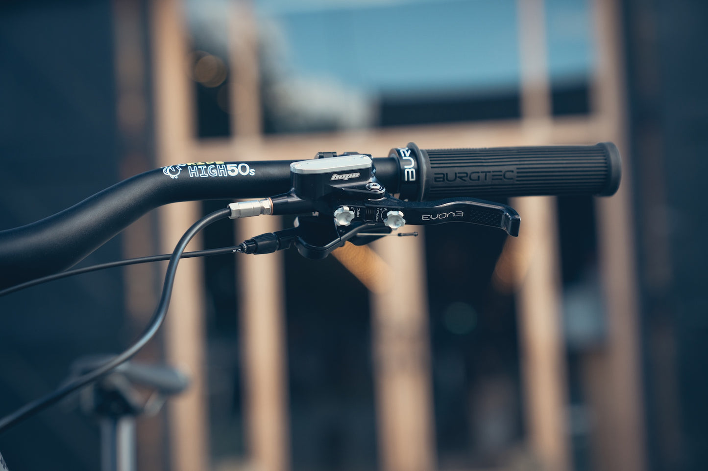Specialized Stumpjumper Evo Alloy Raw Custom
