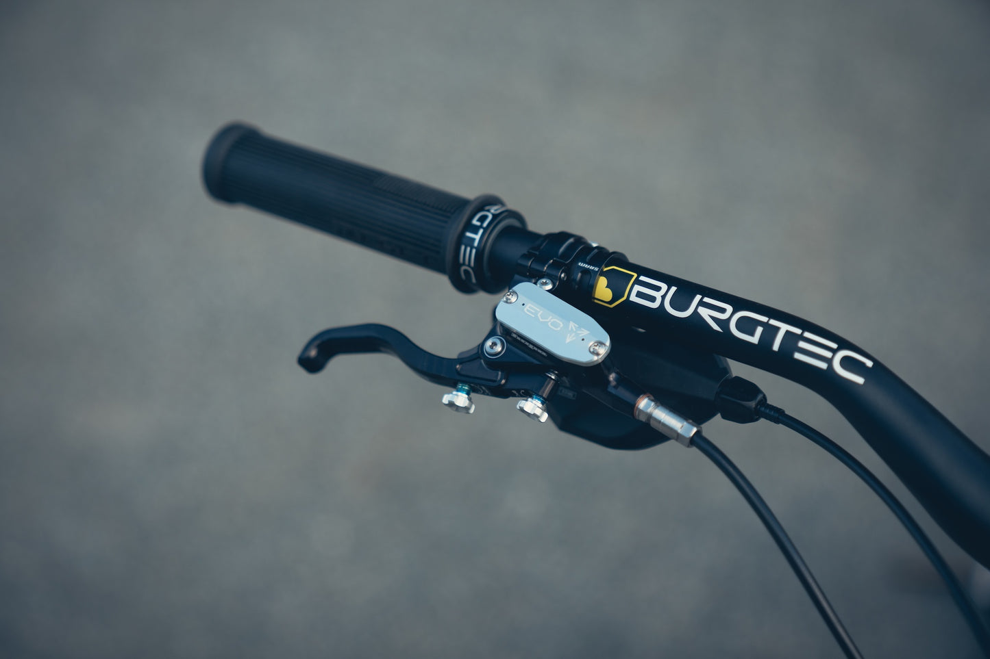 Specialized Stumpjumper Evo Alloy Raw Custom