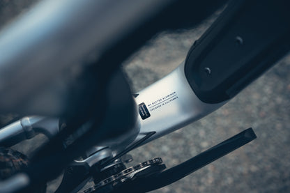 Specialized Stumpjumper Evo Alloy Raw Custom