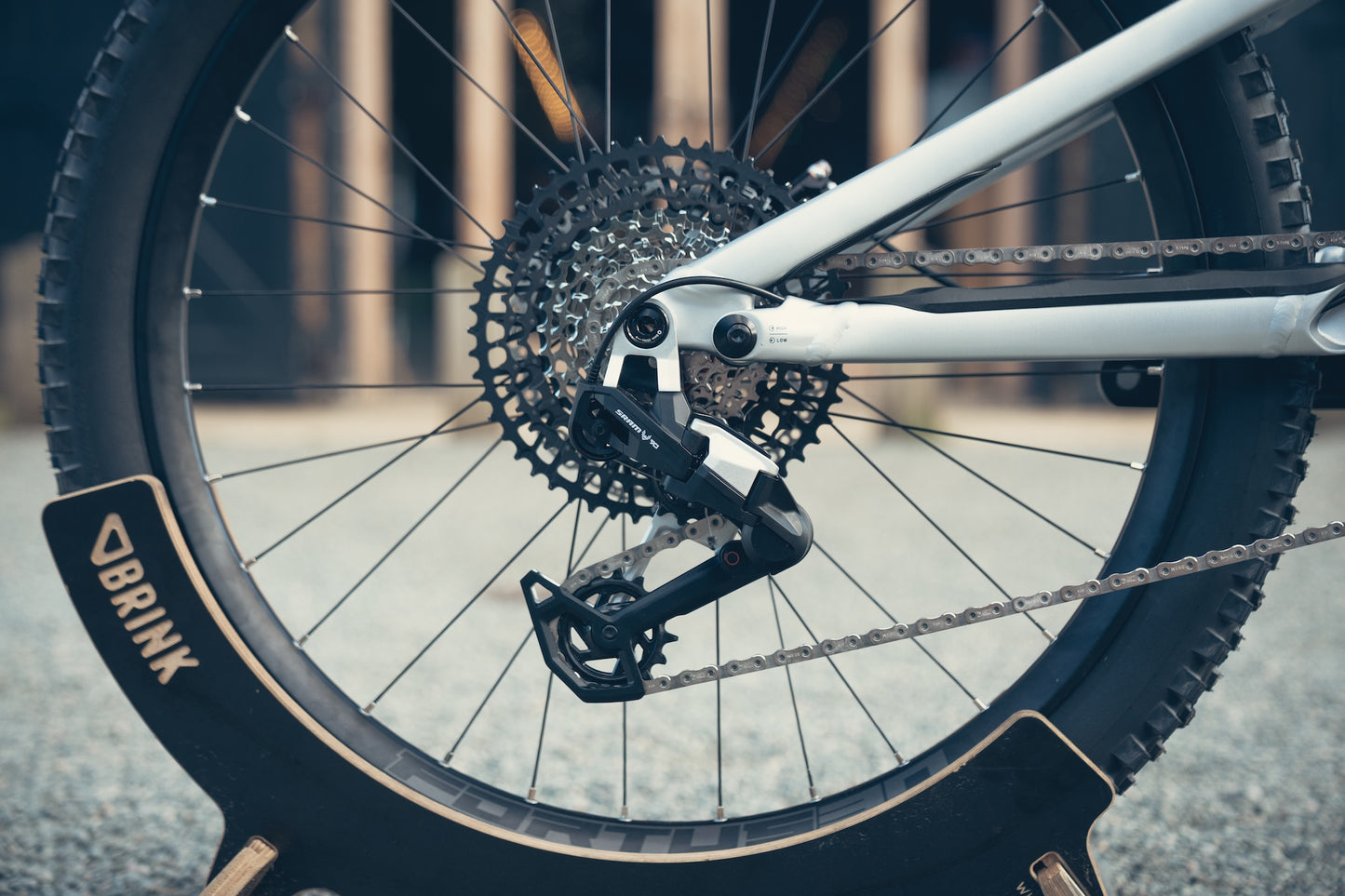 Specialized Stumpjumper Evo Alloy Raw Custom
