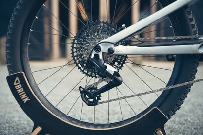 Specialized Stumpjumper Evo Alloy Raw Custom