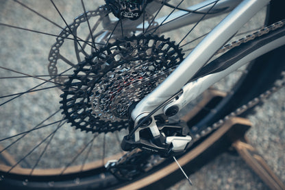 Specialized Stumpjumper Evo Alloy Raw Custom