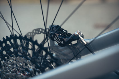 Specialized Stumpjumper Evo Alloy Raw Custom