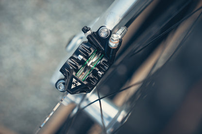 Specialized Stumpjumper Evo Alloy Raw Custom