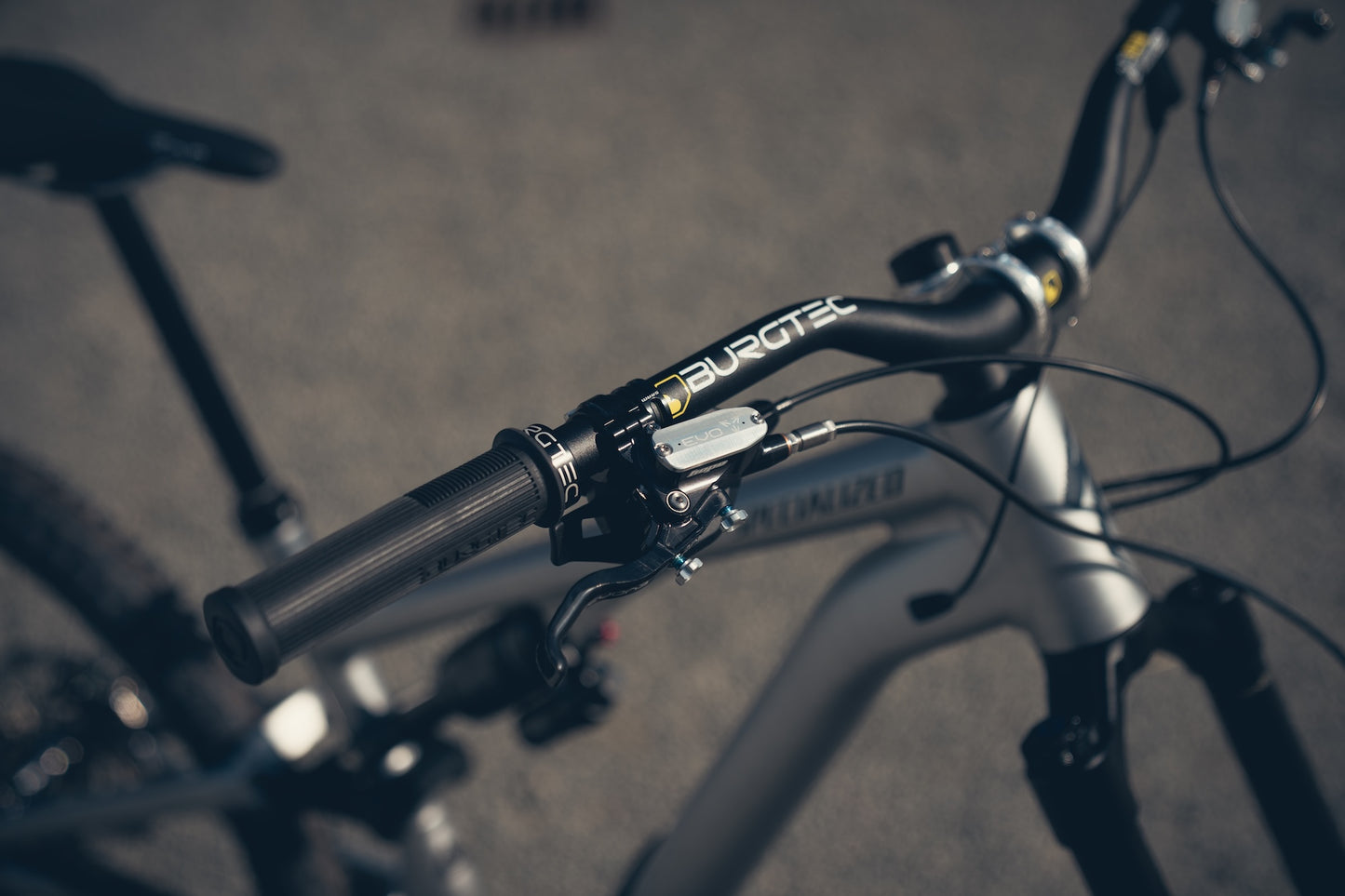 Specialized Stumpjumper Evo Alloy Raw Custom