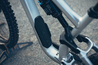 Specialized Stumpjumper Evo Alloy Raw Custom
